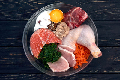 Why Small-Batch Dog Food is the Best Choice for Your Pet